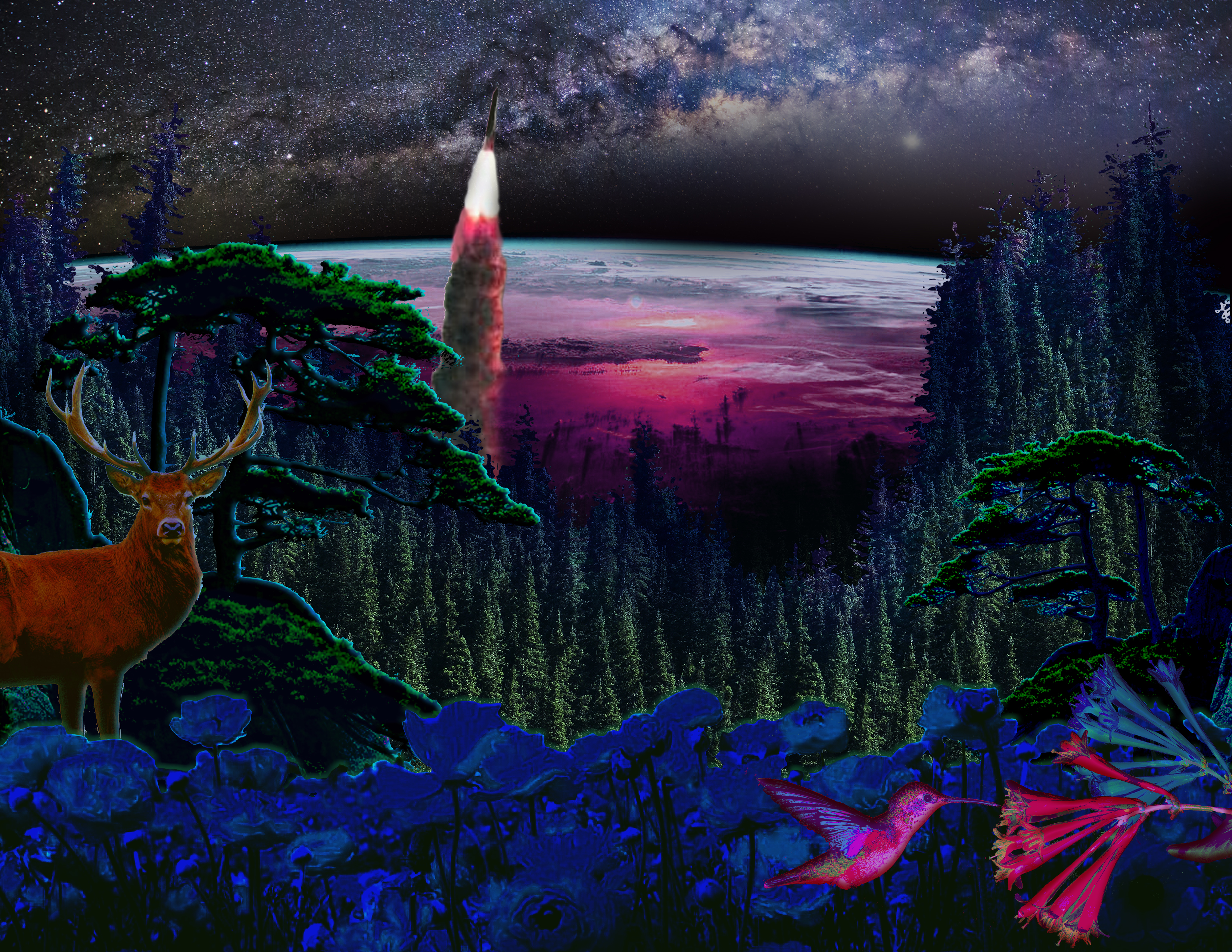 Surreal and Lucid